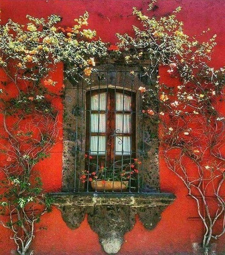 2129d4f96a4e910e6ab911715e06284f