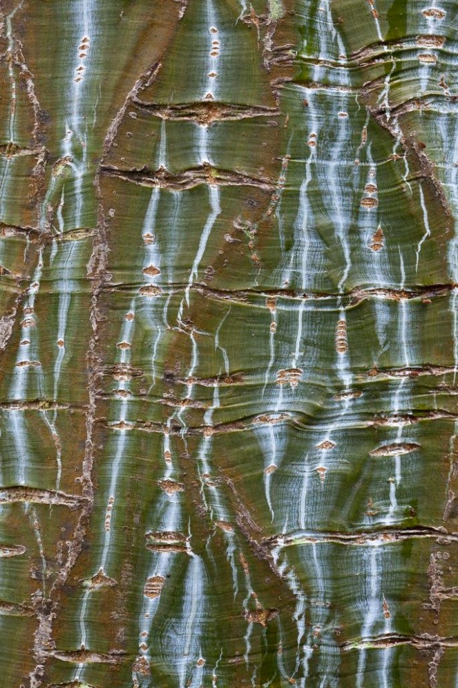 91126474fd66922703fbd54989b9e4f2