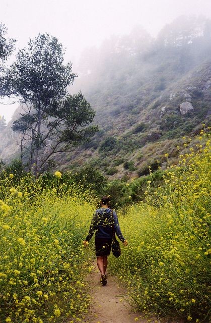 0c0e4e3ab4477a9d74bea108f0943c4e