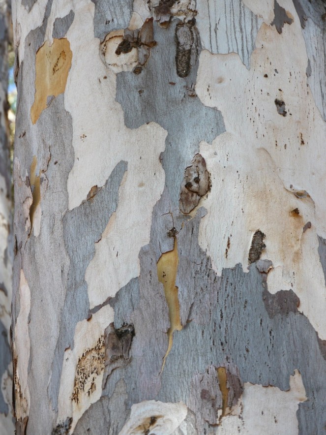 f74bf0389ca1b841edbb34324a24057f