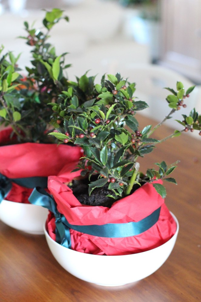 42ed88937ef7321ea171d6a92207e912