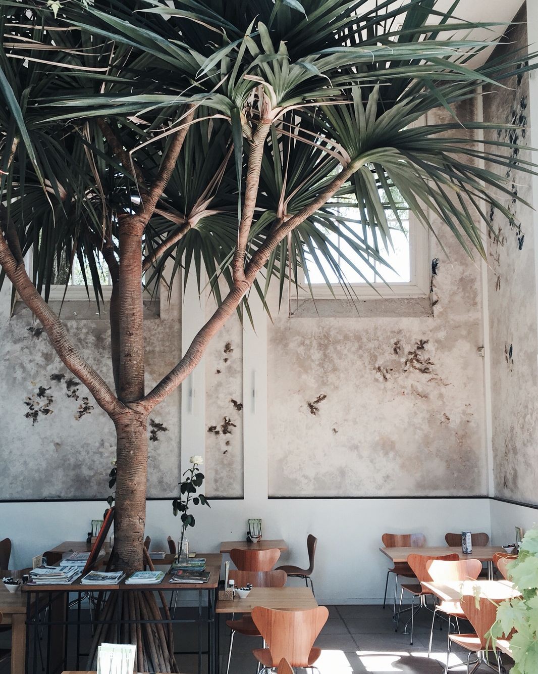 708fe9777e1c8022649c10bc443eed75