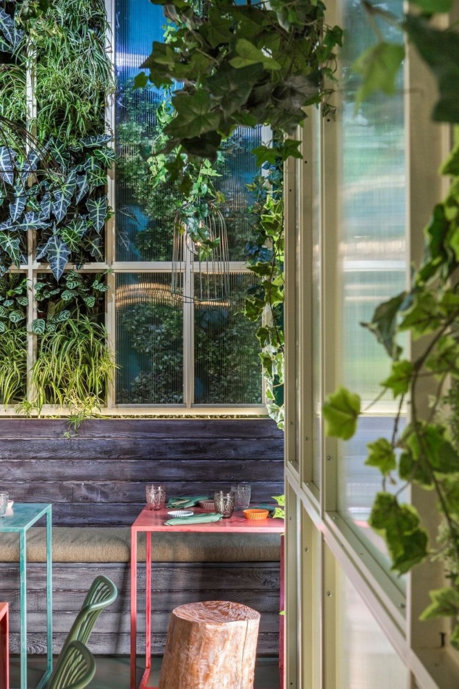 e55c58161e888e0336fffd210ca6b534