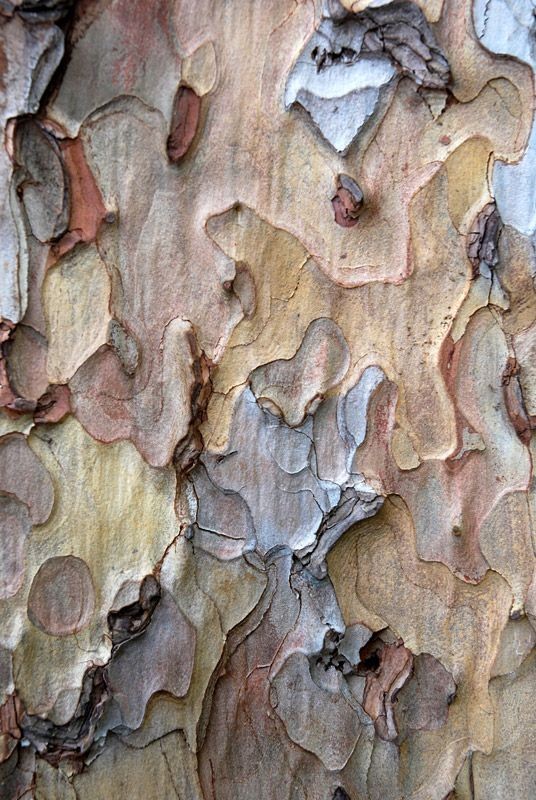 b1b9f01f393e0506f744ca9f184c60b1