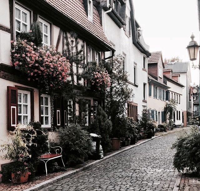 c28d849f7bb342a52446214650345247