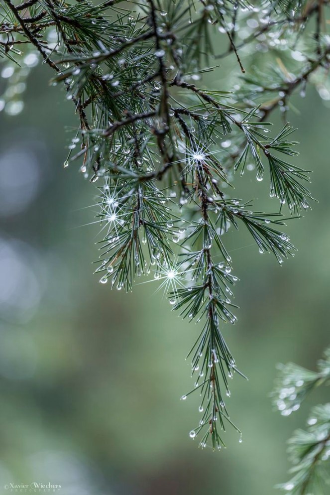 8031b0b0b7ddfe68a51b140c7085e32d