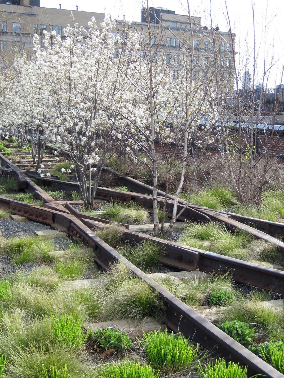 e045e2416bcc33aa9dfd1547b6434940