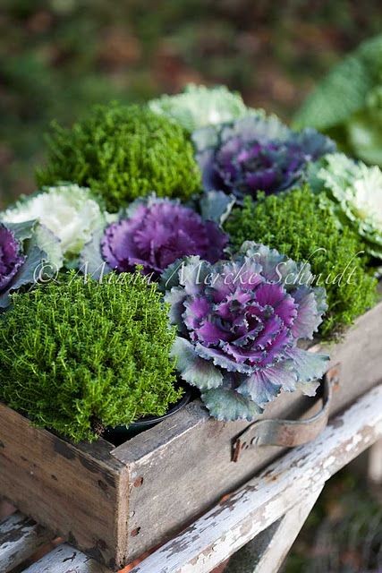 0bc8cb179b6109613abef0950a772c91