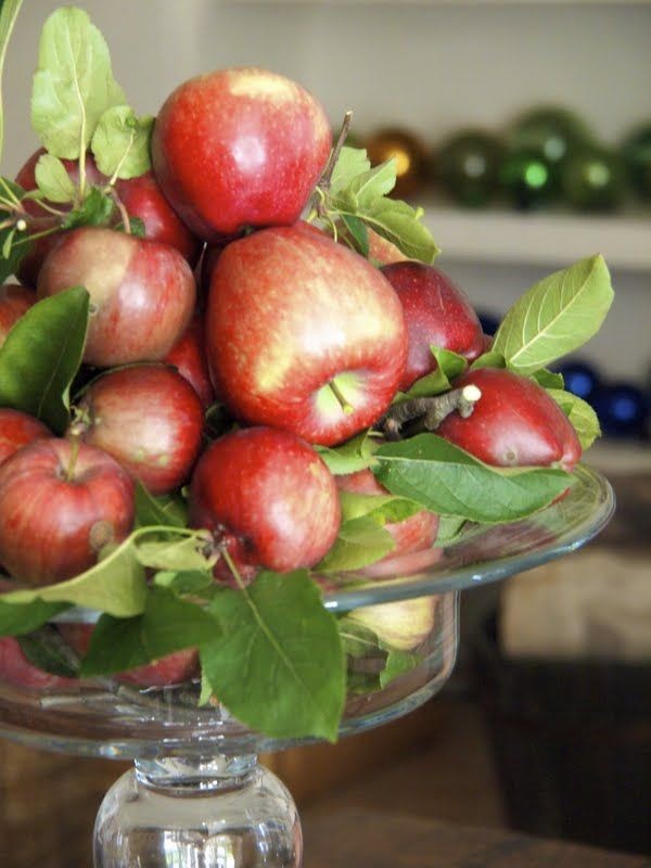 350bd96cea923e44a084acbc3bf05c19