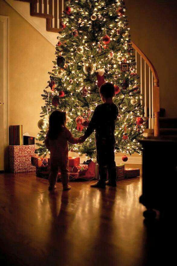 b12bfb299a7470b8b325e7e2660be4b7