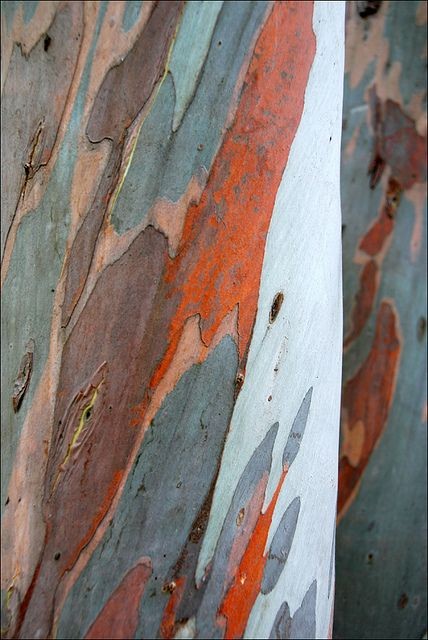 c721cc87061a0c29675a42c1bc678f9a