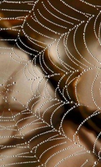 ff67b97ca02c0bd2e914623ba3c5ccc0